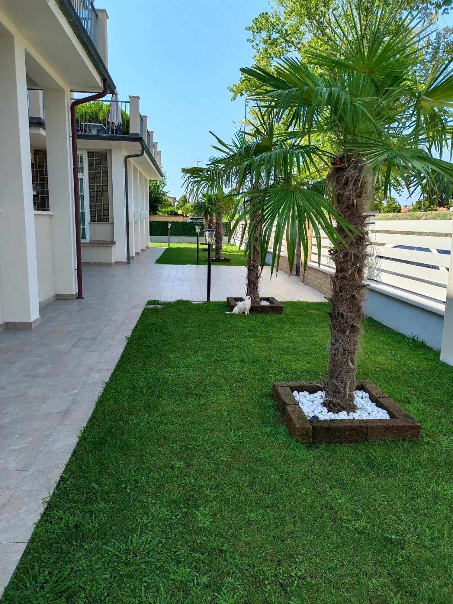 Residence Deamarina Marina di Massa Eksteriør billede